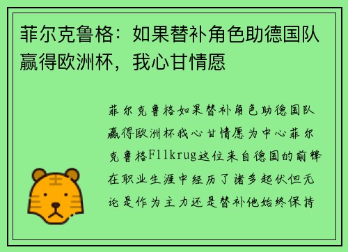 菲尔克鲁格：如果替补角色助德国队赢得欧洲杯，我心甘情愿